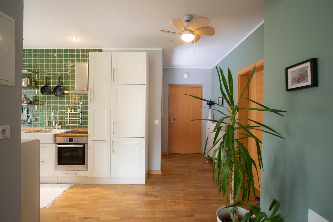 Apartment Rozalija Zirovnica Exterior photo